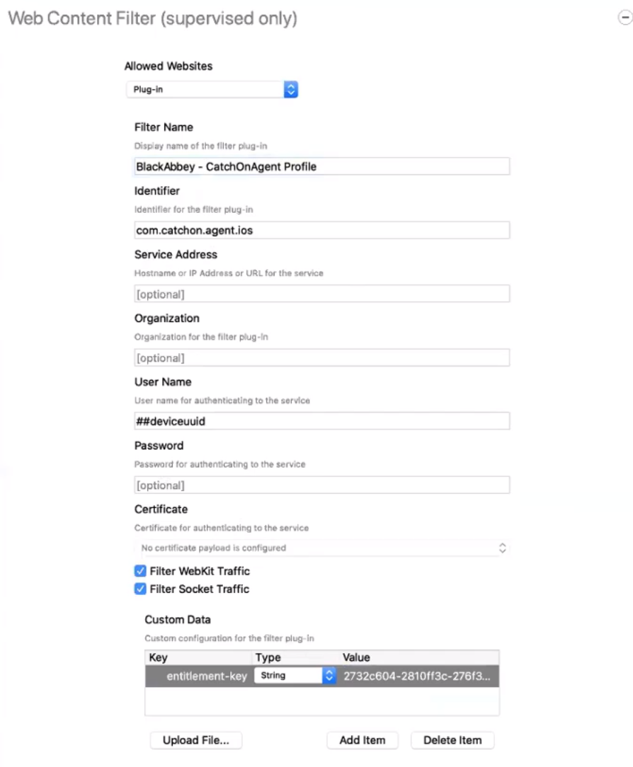 Agent Deployment for Lightspeed Digital Insight